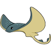 stingray