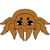 spider