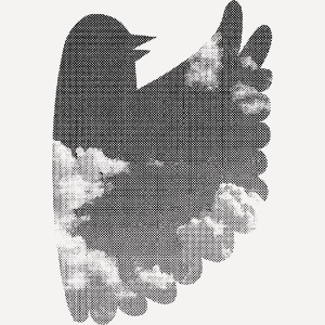 Vogel 2 | 3