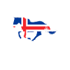 Icelandic horse