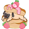 Pug Loves Pancakes