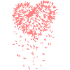 heart of rose petals