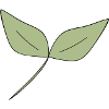 Sustainability and Environment