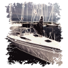 Sailboat - Sailing