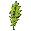 Eiche