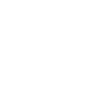 Somewhat functional Introvert Anti Social