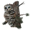 Owl Forest Nature