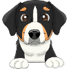 Appenzell Mountain Dog