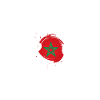 morocco design maroc