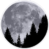 Moon - Trees - Night Sky