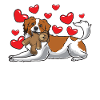 Nederlandse Kooikerhondje with cuddly toy