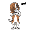 Sturer Welsh Springer Spaniel Chien
