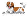 Nederlandse Kooikerhondje
