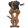 Stuer Deutscher Boxer Chien