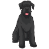 Chien de suceur géant