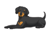 Slovenský kopov Chien