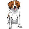 Nederlandse Kooikerhondje