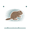 beaver