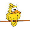 Canary Funny Cute