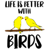 canaries