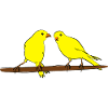 Canaris