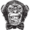 Monkey Nerd