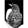 Vogel