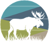 elk