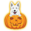 Halloween White Shepherd