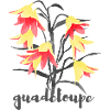 Fleur de Guadeloupe