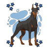 Dobermann Doberman Blue Design