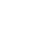 Evolution of Flight