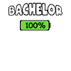 Bachelor 100% Diplôme