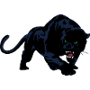 Schwarzer Panther oder Jaguar Wildkatze