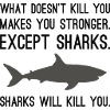 Les requins vous tueront