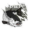 Truites murmureurs