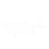 J'aime la pêche