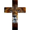 Lion in the Cross