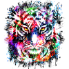 Tiger - Bunter Tigerkopf - Tigerkatze