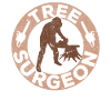 Baumklettern Baumpfleger Arborist Baumkletterer