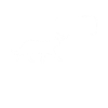 Cat Miau Meow