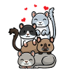 Mongolisk tävlingsråtta gerbil Gerbil