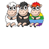 Black Sheep - Rainbow Sheep