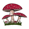 Pilze