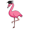 Flamingo Graduation Diploma Abitur