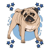 Mops Pug Blue Design