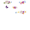 Physical Therapist Therapy