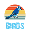Birds Watching Girls Bird