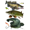 Gang de carnassiers 2