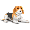 Beagle Dog - Funny Beagle